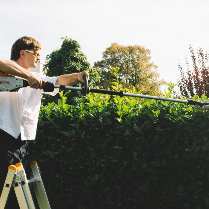 Hecke wird von der Leiter geschnitten